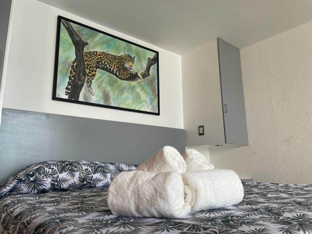 Suite Frente Al Mar En Torres Gemelas アカプルコ エクステリア 写真